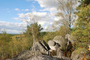 Forêt de Fontainebleau, Point de vue